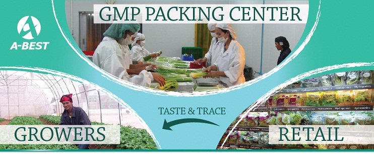 GMP Packing Center by A-Best